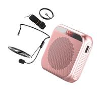 ibasenice Amplificateur Voix Portable Mini Amplificateur en Plastique, Écran LED, Version Anglaise, pour Enseignants et Guides Touristiques, Prise de Parole en Public et Voyage