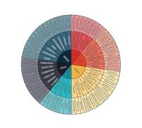 ibasenice Autocollant Mural Éducatif Roue des Émotions Décoratif pour Classe Maternelle Autocollant Auto-adhésif pour Tablette et Ordinateur Gommette Pédagogique pour Sensibilisation