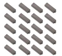 ibasenice Balais en Carbone pour Moteur de Sèche-cheveux, Compatibles Plusieurs Modèles, Finition Argentée, Lot de 20 Pièces pour Réparation Précise
