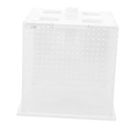 ibasenice Boîte Alimentation Transparente pour Reptiles Et Habitat pour Et Insectes Terrarium Clair pour De Phasmes Mantes