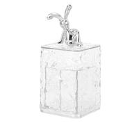 ibasenice Boîte de Rangement pour Cotons et Cotons-Tiges Couvercle Transparent Compacte pour Salle de Bain et Chambre