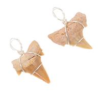 ibasenice Breloques Dents Requin Lot De 2 2-2,5 Cm En Argenté Pour Fabrication Bijoux Et Présent Homme