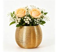ibasenice Cache-Pot Céramique Doré Pot De Fleur en Céramique pour Plante Succulente Vase À Fleurs Rond 16.00 Cm Contenant Décoratif pour Intérieur Bureau Et Maison