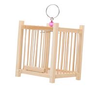 ibasenice Cage à Insectes Portable pour Sauterelles Transporter Observer Extérieur pour Amateurs de Plantes