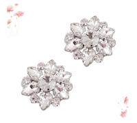 ibasenice Clips Décoration Chaussures Cristal Délicats Boucles Amovibles pour Mariage Accessoires Élégants pour Femmes Ornements Brillants pour Talons et Sandales