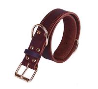 ibasenice Collier De Protection pour Animaux De Compagnie Cuir Adapté à Petits Chiens De Moyenne Et