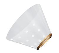 ibasenice Collier De Récupération pour Chat Ajustable Collerette Élizabethaine Transparente pour Empêcher Léchages Et Grattages Protection Après Ou