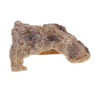 ibasenice Décor Aquarium Tortue Cachette Abri Tortue pour Aquarium Douce et Ornement Décoratif et Cailloux Réalistes