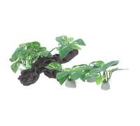 ibasenice Décoration Aquarium Grotte aux Crevettes en Plastique 4pcs pour Aquarium, Abris Sécurisés et Esthétique Naturelle Rustique, Ornement de Branches