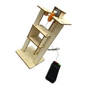 ibasenice Éducatif Bois DIY Élévateur pour Garçon Fille Ans Modèle Scientifique Manuel pour Apprentissage Pratique Développement des Compétences Observation et Réflexion