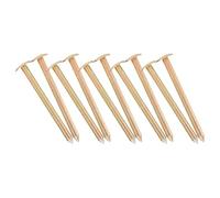 ibasenice Lot de 10 Clous d'Arpentage Multifonctions en Acier pour Jardin et Bornes de Propriété, Utilisation pour Observation des Tassements et Repères Précis