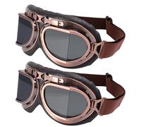 ibasenice Lunettes de Protection en Résine pour Moto Hors-piste 2 Pièces Vintage avec Structure Sécurisée et Lentille Extra-large Homme pour Sports de Plein Air