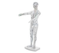 ibasenice Modèle Acupuncture Masculin Réaliste pour Formation Tcm Mannequin de Points de Pression et Méridiens Outil Pédagogique Complet pour Apprentissage et Démonstration