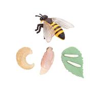 ibasenice Modèle Animale Figurine Éducative des Stades de Vie de Décoration Animale pour Fête et Apprentissage des Garçon Fille