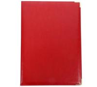ibasenice Organisateur de Documents pour Documents Rangement Classeur en Papier et Fer Rouge pour Stylos, pour Notes Professionnelles et Reçus