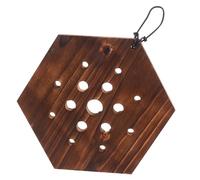 ibasenice Planche de pour Fougère Staghorn Support Suspendu Vertical pour Plantes Grimpantes et Succulentes Décoration Murale Intérieur pour Jardin Compact
