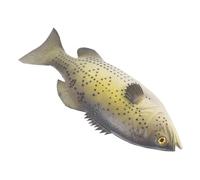 ibasenice Poisson Décoratif Simulation PU Réaliste Modèle Ludique pour Garçon Fille Ornement Aquarium et Décoration Intérieure