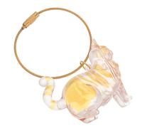 ibasenice Porte-clés Capsule Transparent pour Poils de Chat Boîte de Rangement Commémorative Portable Accessoire Pratique pour Collection de Poils de Chat Souvenir Animalier Élégant et