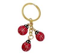 ibasenice Porte-clés en Alliage Accessoire Portable et Résistant la Décoloration Créatif Forme à Bon Dieu Rouge Décoration pour Paquet ou Clé Lors de Diverses Occasions