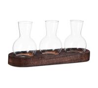 ibasenice Station De Propagation Verre avec Base Bois Vase Transparent pour Culture Hydroponique Et Décoration De Bureau Ou Salon