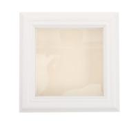 ibasenice Vitrine pour insectes : Boîte de collection pour et libellules - Présentoir transparent 12,5 x 12,5 cm avec couvercle, idéal pour une table, une étagère ou vitrine.