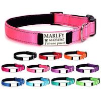 Ibera gifts - Collier Chien Personnalisé et Réfléchissant - Collier Personnalisé Chien et Chat pour Chiots ou Très Petits Chiens - Gravure Durable (22-30 cm) (Rose, XL, Très Grand)
