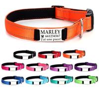 Ibera gifts - Collier Chien Personnalisé et Réfléchissant - Collier Personnalisé Chien et Chat pour Chiots ou Très Petits Chiens - Gravure Durable (22-30 cm) (Orange, XS, Très Petit)
