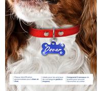 Ibera gifts - Plaque identification personnalisée pour chien et chat - petits à moyens - en forme d’os - personnalisé médaille gravure medaillon dog tag colier (Pattes, Bleu)