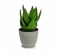Ibergarden Lot de 6 Plantes décoratives Aloe Vera, 15 x 23,5 x 15 cm, Gris, Vert, Plastique