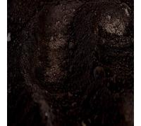 iBéton by Cyril Claire Pigment Oxyde De Fer Noir 1 Kg - Pour Peintures, Enduits Béton et Chaux - Poudre Colorante - Origine Europe