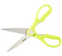 Ibili Ciseaux de cuisine Classico 704904 - Acier inoxydable, Argent/Vert, 21.5 x 8.8 x 1.2 cm