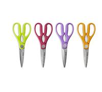 Ibili Ciseaux de cuisine 704904C INOX Multicolore – 24 pièces 21 x 5 x 2 cm