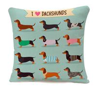 IBILIU Housses de coussin décoratives en coton et lin avec motif de teckel coloré pour canapé, sofa, chambre à coucher, 45 x 45 cm, vert