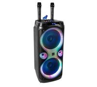 Ibiza COLUMBA-KARAOKE Enceinte Active 2x8"" 1000 W Bluetooth USB Micro SD FM TWS 2 Micros sans fil Tél LED + Clé USB 32Go