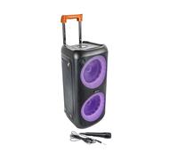Ibiza ERIS400 Enceinte Bluetooth Portable sur Batterie avec LED - 2 Boomers Lumineux - TWS - USB, MicroSD, AUX - Micro Filaire Inclus - Trolley, Roues - Idéal Soirées et Karaoké