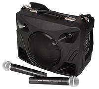 Ibiza PORT85VHF Haut-parleur Noir