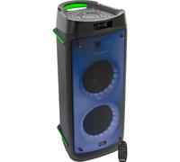 Ibiza Sound 10-5584 haut-parleur portable et de fête Noir 300 W