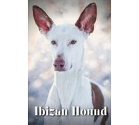 Ibizan Hound: Dog Breed Overview And Guide