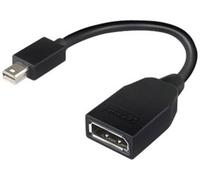 IBM 4X90L13971 Adaptateur [1x Mini port Display mâle - 1x DisplayPort femelle] noir