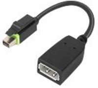IBM 4X90Q93975 Mini-Display Adaptateur [1x - 1x DisplayPort] noir