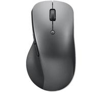 IBM Professional Souris radio optique gris foncé 6 Boutons 4000 dpi molette intégrée