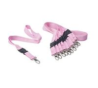 IBOO Lot de 10 Lanières/Tours de cou Rose - Porte-clés avec Boucle Détachable - Porte carte de visite, étudiant ou bus