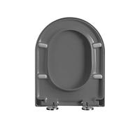 IBOWZ Abattant WC, Couleur D-Shape Top-Fixing Quick-Release Sturdy UF, 360 x 460 mm, Gris