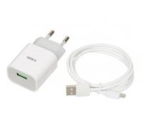 iBOX C-41 Chargeur universel avec câble micro-USB, blanc (ILUC41W)