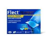 IBSA Flect'Expert Patch Froid x5