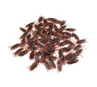 IBUGER Fausses Mouches, 100 pièces Mouches/cafards Blague Jouets, Trick Props Jouets dégoûtants April Fools Day Jokes Halloween Gross par Prank Props