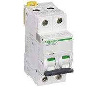Schneider Electric - Disjoncteur iC60N 2P 32A courbe D - A9F75232
