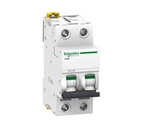 Schneider Electric Disjoncteur iC60N 2P 63A C A9F79263