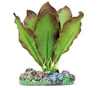 ICA AP1102 Anubias Aquatic Plants Soie