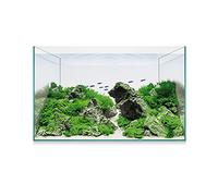 ICA Kit Aquascape Basic 14 12,7 ML